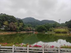 -广州市帽峰山景区