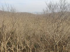 -南山风景名胜区