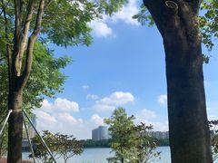 -顺峰山公园
