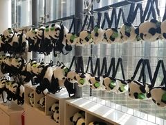 -大连森林动物园熊猫馆纪念品商店