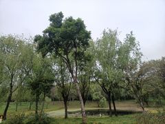 -蜀冈西峰生态公园