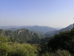 -大岭沟猕猴桃谷风景区