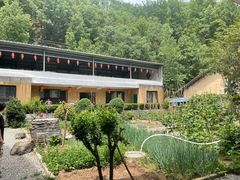 -柞水乾佑红门家菜