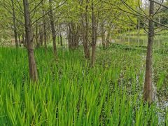 -苏州河梦清园环保主题公园