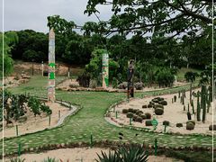 -东莞植物园
