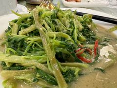 -金麒麟美食城
