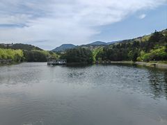 -庐山风景区花径公园