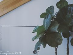 -隹木咖啡馆(宝龙广场店)