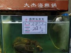 -大杰海鲜锅(基隆路店)