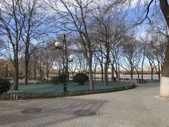 -莲花池公园