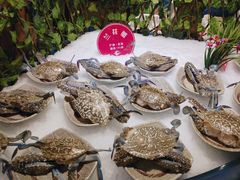 -阳光岛·海鲜盛宴(银泰中心in99店)