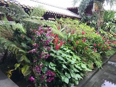 -新加坡佛牙寺龙华院