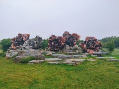 -上海海湾国家森林公园