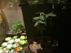 -泰和宫养生会馆(长江路店)