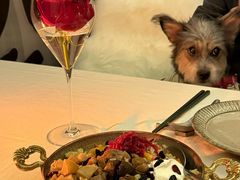 -龟兹KUCINA·新疆菜(前滩L+PLAZA店)