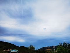 -青岛森林野生动物世界