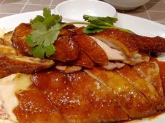 招牌豉油鸡-老廣食堂(区庄店)