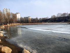 -护国法轮寺