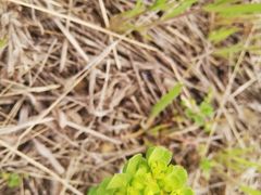 -汉长安城未央宫国家考古遗址公园