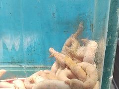 -潮庭·大连海鲜·炭火烧烤·扇贝王(大连店)