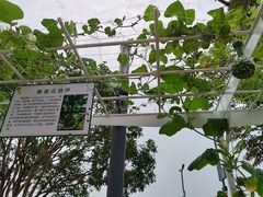 -中国天府农业博览园