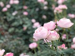 -人民公园(罗湖区)