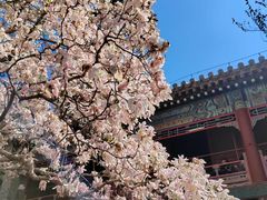 -潭柘寺景区