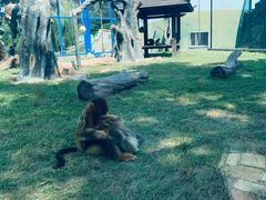 -大连森林动物园