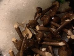 -探窝·竹笙椰子鸡(杨箕店)