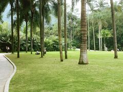 -深圳仙湖植物园