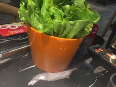 -古乐牛香·鲜牛肉牛杂火锅(五一中路店)