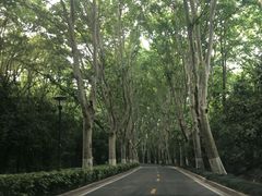 -南京东郊国宾馆