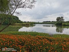 -沙家浜风景区