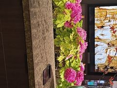 -杏花村水席楼·洛阳水席(老城十字街店)