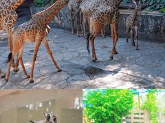 -长鹿旅游休博园