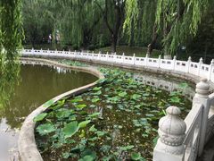 -丰台花园