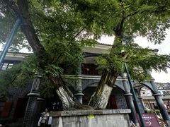 -遵义会议纪念馆