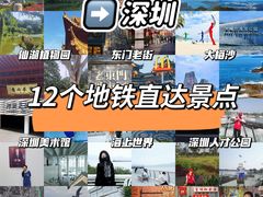 -深圳湾公园(南山区)