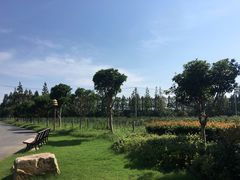 -上海长兴岛郊野公园
