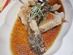 清蒸黄竹笋壳鱼-御沪沪味园.融合菜.海鲜(斜土路店)