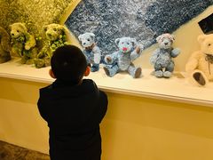 -济州岛泰迪熊博物馆