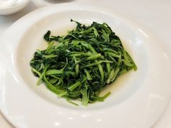 清炒鸡毛菜-乾隆美食·本帮菜(黄河路店)