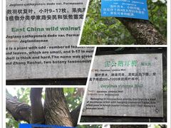 -东天目山风景区