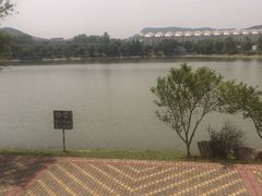 -羊山湖公园