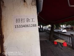 -半月镰胡姐脆皮萝卜饺子