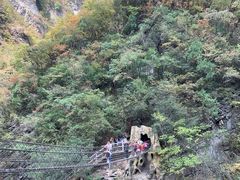 -尧治河旅游度假区