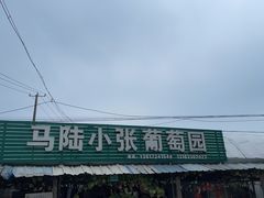 -马陆小张葡萄园农家乐