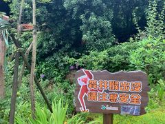 -杭州开元森泊度假乐园