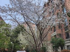 -良渚文化村
