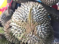-阿坤纯正西刀鱼丸(Kuala Lumpur Branch)